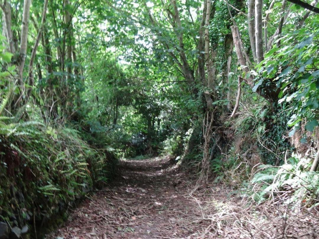 Badger Cottage Mawgan Exterior photo